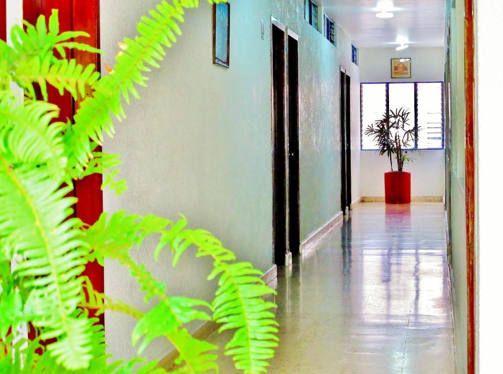 Hotel Acuario Catemaco Kültér fotó