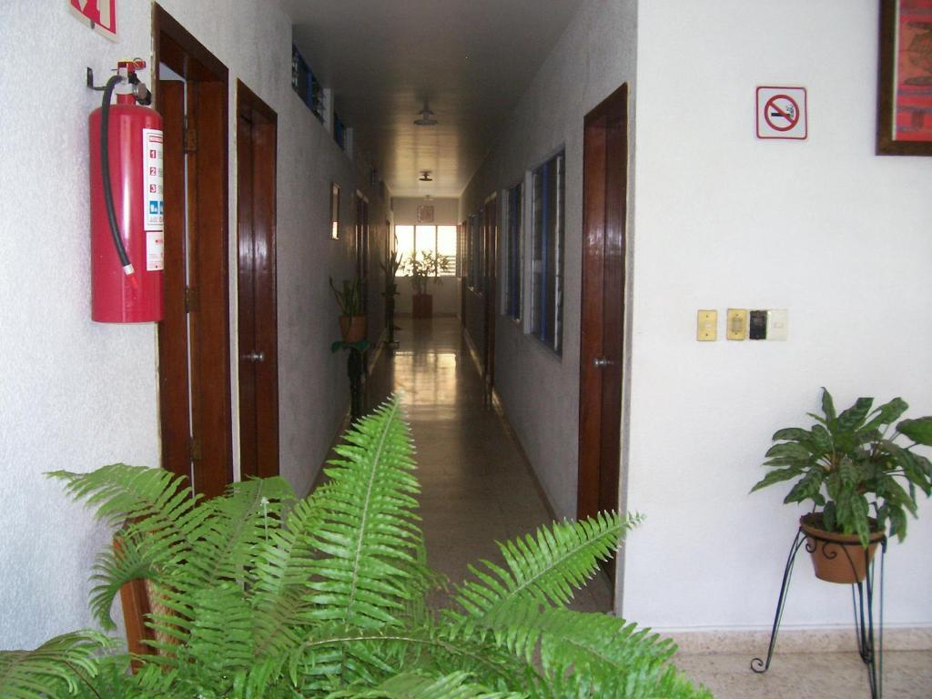 Hotel Acuario Catemaco Kültér fotó